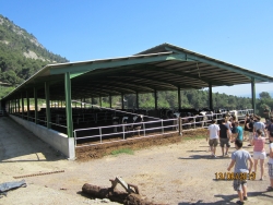 Visita d´una escola agrícola francesa a Sant Martí de Centelles