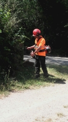 Treballador realitzant treballs de manteniment de zones verdes al municipi